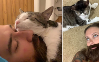 Cat Named Roswell, Rescued kitten obsessed with Beards, Drew Chiodo, Lindsey Lunser, Cat Dad, Eerie, Pennsylvania, Third Wheel, beard