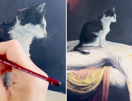 Rescued Cats Become the Muse and Inspurration for the Artist Who Adopted Them from the City Streets