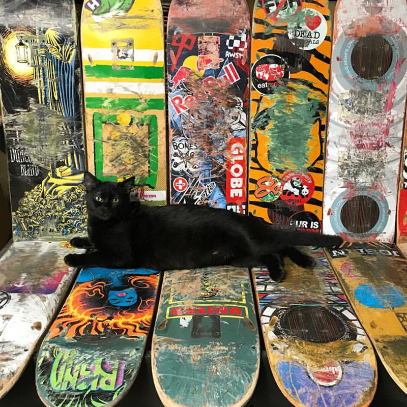 Justin and Kristin LaRose, Grizzly the Shop Cat, Recycled Skateboard Art, Woodworking, Woodturning, Long Beach, California, Black Cats, Rainbow Wood Shop, 6