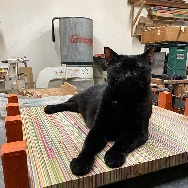 Justin and Kristin LaRose, Grizzly the Shop Cat, Recycled Skateboard Art, Woodworking, Woodturning, Long Beach, California, Black Cats, Rainbow Wood Shop, 5