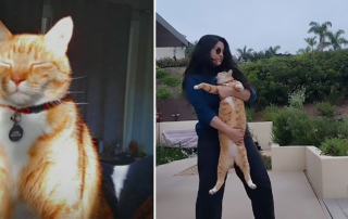 Jessica Reis Mendivil, death doula, Jess The Death Empath, grief expert, dancing with cats, Oliver, Pierre, Los Angeles, California, Mexican-American