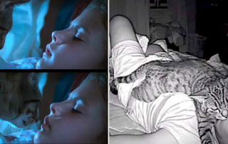 Lomphonten Lomphontan, Bangkok Thailand, Cat named Achi smothered dad's face at night while he slept, cam reveals cat on dad's face, Drew Barrymore, Cat's Eye, Stephen King, sleeping, pet cam