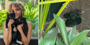 Halle Berry, Catwoman, black cats, Boots and Coco, Jax and Ro, dogs, kittens, Hollywood, celebrity pets, animal lovers, Deadpool, Storm, X-Men