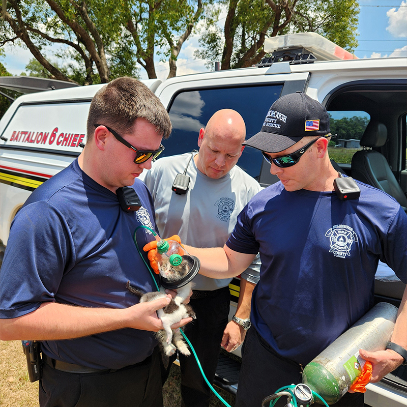 Hillsborough County Fire Rescue, Tampa, Florida, 10 kittens saved from home fire, Foster Squad, Pet Resource Center, Hillsborough County, pet oxygen masks, 5