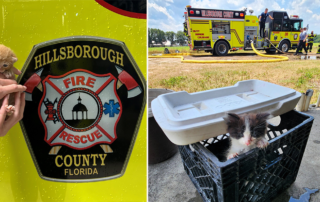 Hillsborough County Fire Rescue, Tampa, Florida, 10 kittens saved from home fire, Foster Squad, Pet Resource Center, Hillsborough County, pet oxygen masks