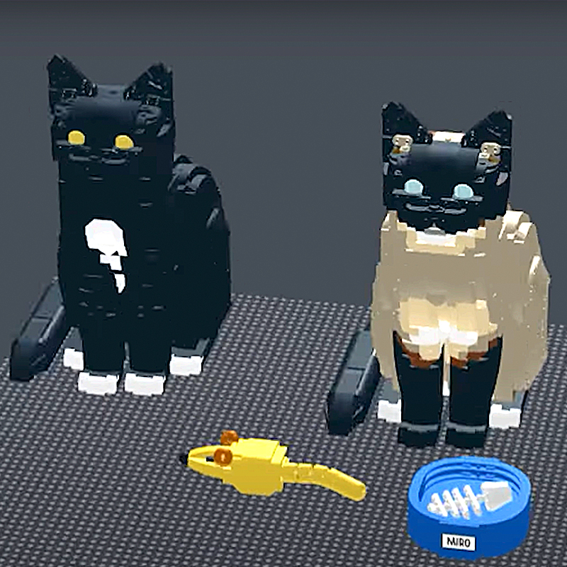 LEGO cat, LEGO Ideas cat, Damian Andres from Belgium, Miro, Siamese, Tuxedo cat, Chris McVeigh, Nathan Davis, plastic bricks, toy cat