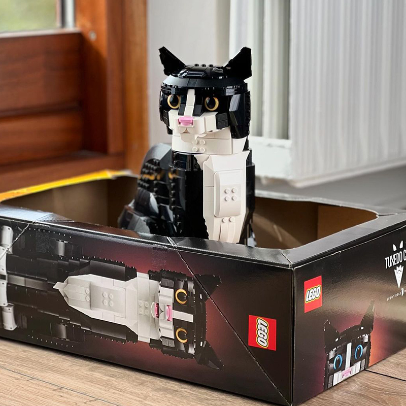 LEGO Ideas cat, Damian Andres from Belgium, Miro, Siamese, Tuxedo cat, Chris McVeigh, Nathan Davis, plastic bricks, toy cat, 3