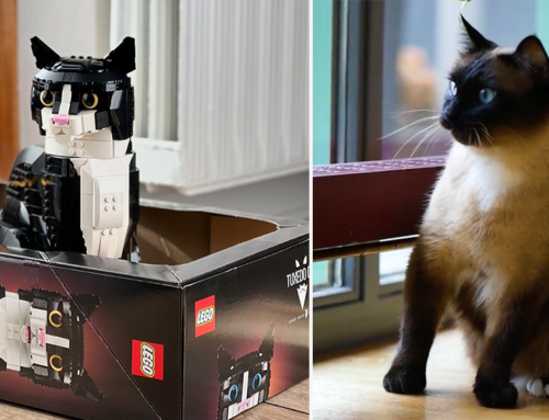 Life-Size LEGO Cat Inspired By a Real-Life Feline Enjoys Sitting In The Box Too!