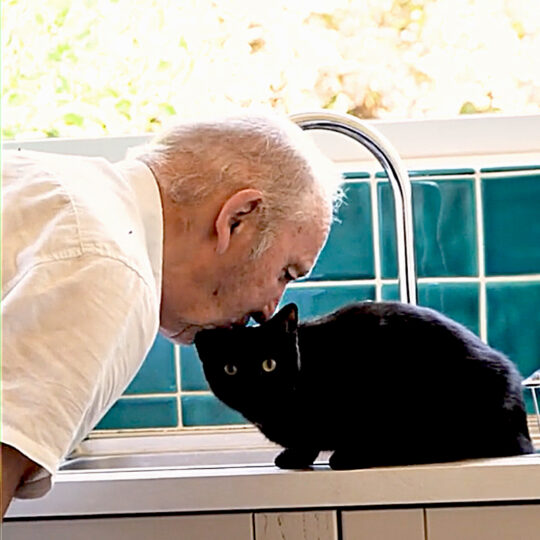 Elusive Black Cat Juno Finally Caught on Camera with Her Adoring Dad ...