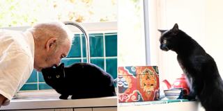 Joshua Robinson, aka Oshu, oshuclips, Juno the cat, Mark and Juno, senior man adores his perfect cat who has the best name, UK, black cats, house panthers