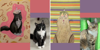 Lucky Lives Cat Rescue, Stray Cat Relief Fund, George A. McCall School, Animal Advocacy Program, PAWS (Philadelphia Animal Welfare Society, pet portraits, artists paint rescued animals seeking adoption, Erica Mandell,