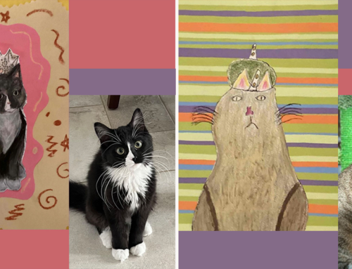 Students Give Rescued Cats a Spotlight and Crown By Painting Adoptable Pet Portraits