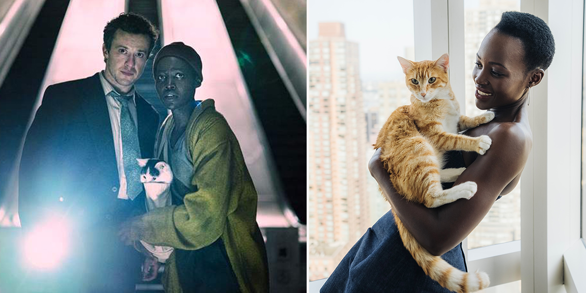 Lupita Nyong'o, A Quiet Place: Day One, overcoming fear of cats, Schnitzel and Nico, acting with cats, Hollywood Cats, Best Friends Animal Society, Yoyo the orange rescued cat, Joseph Quinn, acting with cats,