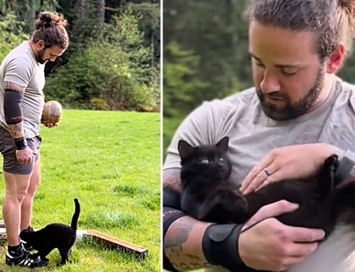 Highland Games Athlete Gets Interrupted from Training By Punkin the Black Cat