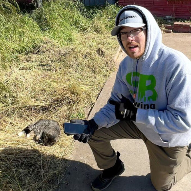 Kansas Man Mowing Lawns Rescues Sick Cat, Which Leads to Saving a ...