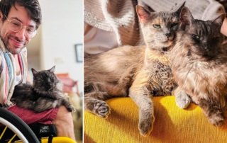 Joseph Kibler and his wife Carey Cox, Disabilities, Cerebral Palsy, HIV, Ehlers-Danlos Syndrome, Walk On documentary, Toulouse and Harpo, Yoda, Molly, New York, chosen one, cats ride with dad in wheelchair