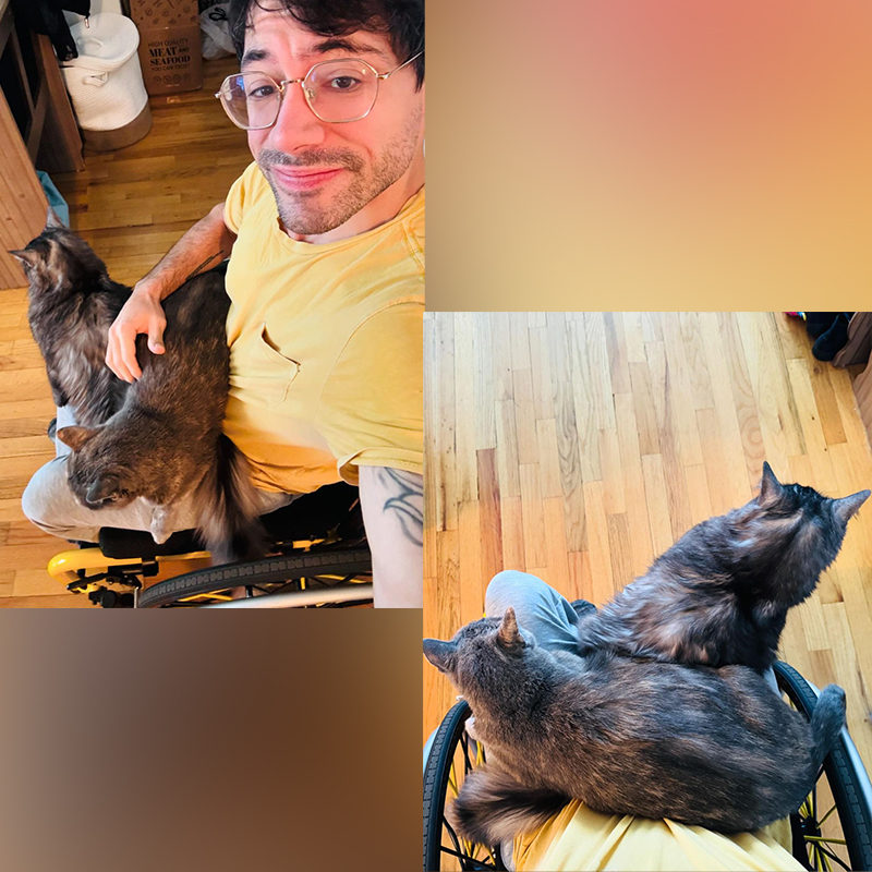 Joseph Kibler and his wife Carey Cox, Disabilities, Cerebral Palsy, HIV, Ehlers-Danlos Syndrome, Walk On documentary, Toulouse and Harpo, Yoda, Molly, New York, chosen one, cats ride with dad in wheelchair, Toulouse and Harpo on Dad's lap