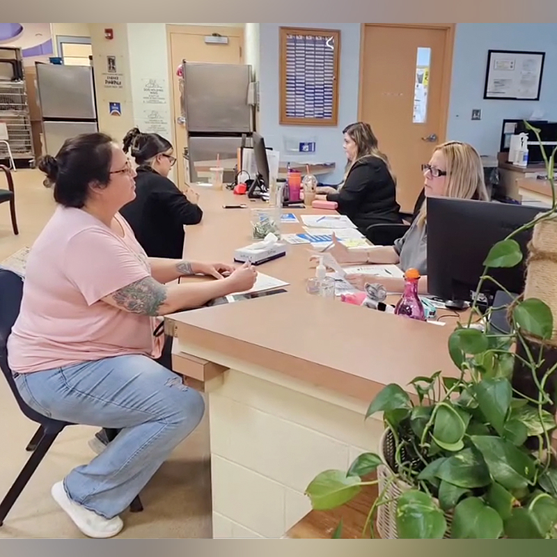 Brandy Weinand, Humane Society of the Treasure Coast,  Palm City, Florida, FeLV+ cats, Feline Leukemia Virus, FIV, Feline Immunodeficiency Virus, 500 days in shelter