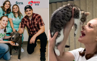 Kimberly Williams-Paisley, Brad Paisley, The Store, The Companion Project, Dr. Molly Brinkmann, Ashley Koll, Lemon Collaborative, Nashville, free vet clinic, Vet Store at The Store, free vet services for pets