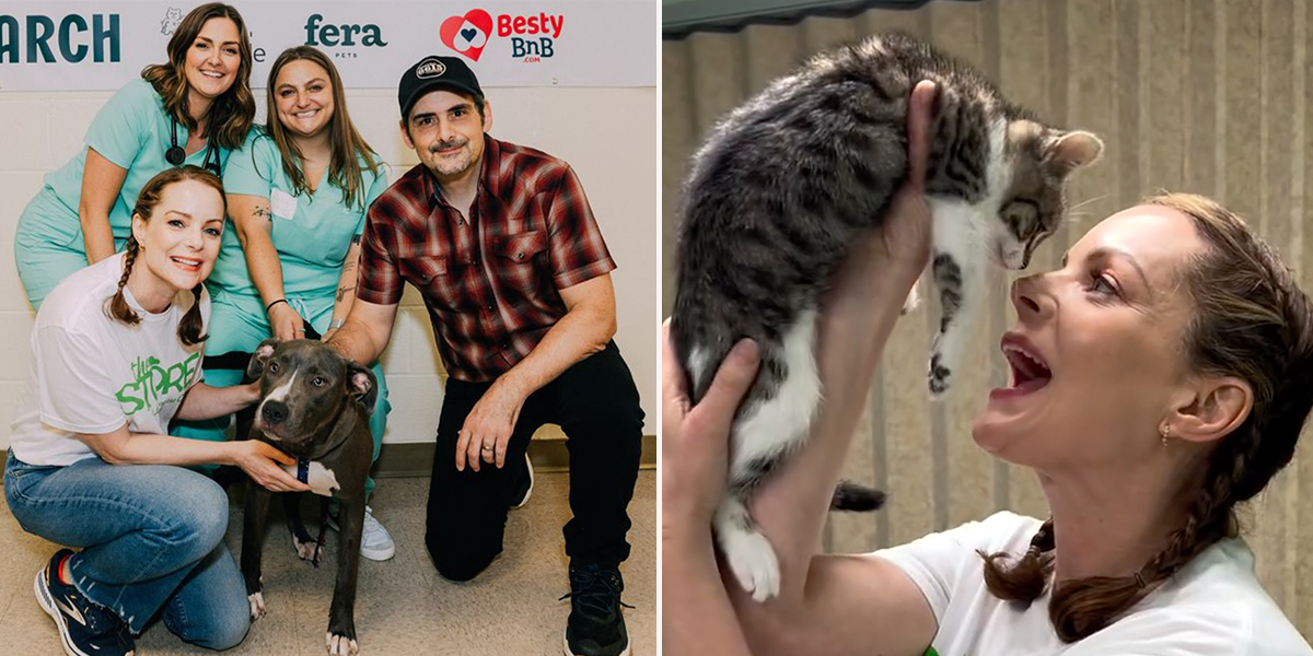 Kimberly Williams-Paisley, Brad Paisley, The Store, The Companion Project, Dr. Molly Brinkmann, Ashley Koll, Lemon Collaborative, Nashville, free vet clinic, Vet Store at The Store, free vet services for pets