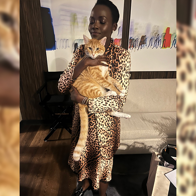 Lupita Nyong'o, A Quiet Place: Day One, overcoming fear of cats, Schnitzel and Nico, acting with cats, Hollywood Cats, Best Friends Animal Society, Yoyo the orange rescued cat, Joseph Quinn, acting with cats, 4