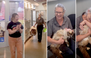 Charleston Animal Society, Jennifer Ravenel, Sam Sam the Kitty Cat Man, 11-year microchip reunion, South Carolina, Pick Me! SC, Petco Love Lost, Sesquicentennial 150th anniversary, reaction on camera, Joy