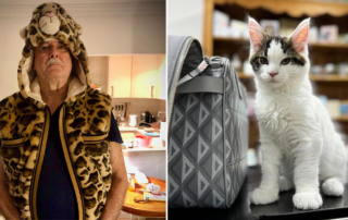 John Cleese, Monty Python, Eric Idle, Michael Palin, Maine Coon cats, Lucky the kitten, Jennifer Wade, Jennifer Fish Cleese, Taylor Swift, cat ladies, Cat Confessions, Cat Factory