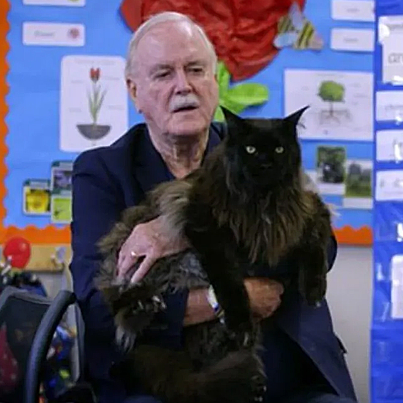 John Cleese, Monty Python, Eric Idle, Michael Palin, Maine Coon cats, Lucky the kitten, Jennifer Wade, Jennifer Fish Cleese, Taylor Swift, cat ladies, Cat Confessions, Cat Factory, 2