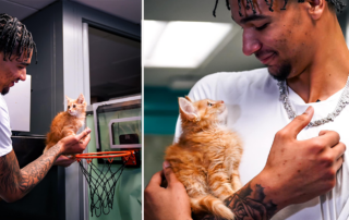 Miami Heat, basketball star Kel'el Ware, Oregon Ducks, Indiana Hoosiers, Miami-Dade Animal Services, Orange Kitten, Adopted kitten named Lykos, Kryptonian, orange cat behavior, Clear the Shelters