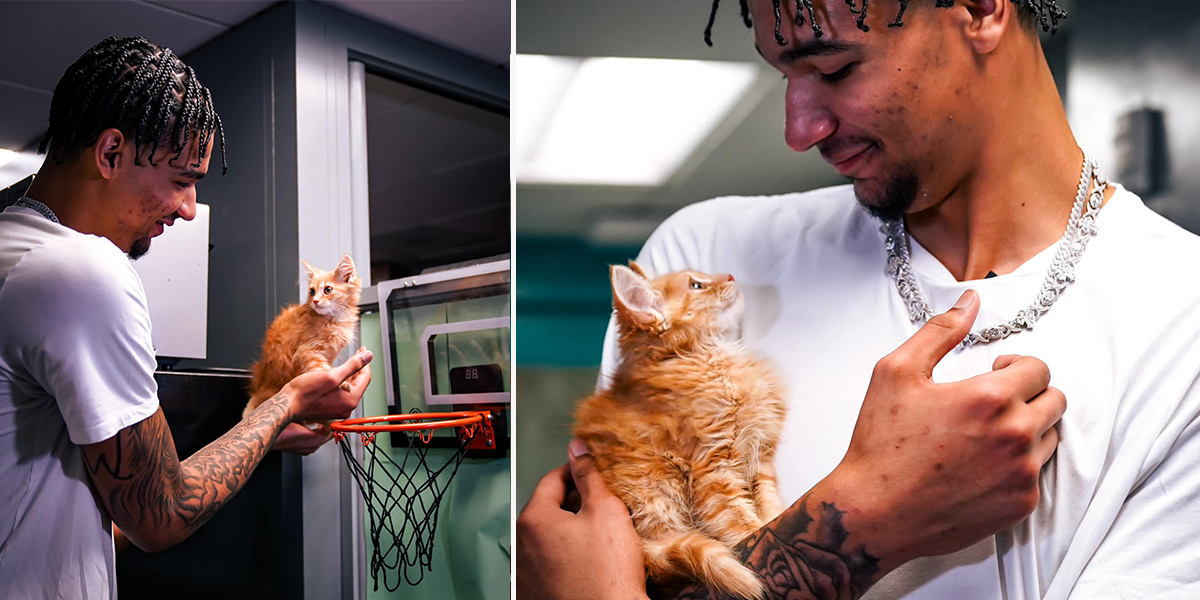 Miami Heat, basketball star Kel'el Ware, Oregon Ducks, Indiana Hoosiers, Miami-Dade Animal Services, Orange Kitten, Adopted kitten named Lykos, Kryptonian, orange cat behavior, Clear the Shelters