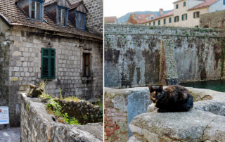 Kotor, Montenegro, Best Cat City, Global traveler Sibu, Go Global with Sibu, travelers, tourists, best cities for cats, cat lovers, Adriatic Sea, Lion of Saint Mark, Roman, Venetian, Cat museum, vending machine to feed cats, world travelers