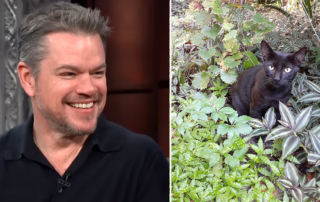 Matt Damon, Luciana Damon, Ben Affleck, Central America, Jungle Cat, adopted cat in Costa Rica at an Airbnb, Pacific beach town of Santa Teresa, Brain tumor, Arnold Schwarzenegger, Timea Vajna, Kiss the Future
