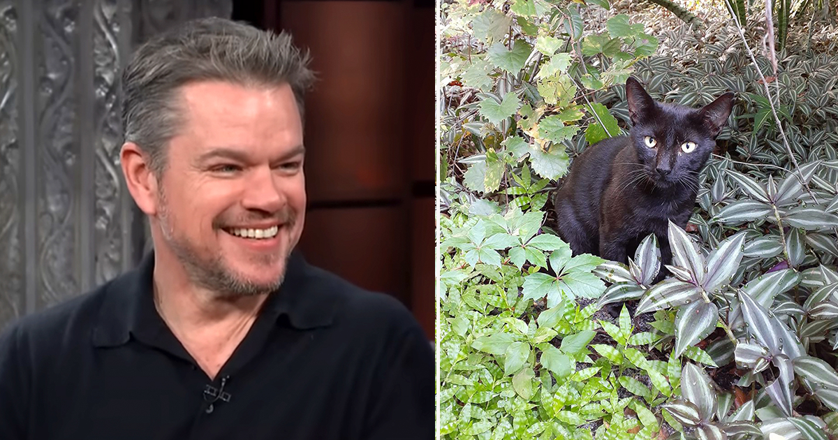 Matt Damon’s tough “jungle cat” from Costa Rica and how he beat cancer