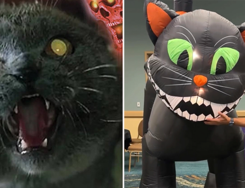 How The World’s Largest Midsummer Halloween Convention Helps Cats Find Home Too!