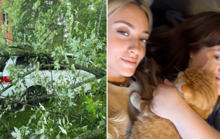 Sarah Carolyn, Emily, Morgan McCarty, Rochester, New York, Headed For Furever, Inc., A Quiet Place, Down Syndrome, Tree falls on rescue's cargo van, TNR, trap, neuter, return, nightmare, A Quiet Place Challenge, Lupita Nyong’o