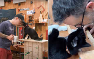 Marc Spagnuolo, The Wood Whisperer, Shop cat, office cat, Oreo, tuxedo cat, Duggee & Abby & Oreo, cat interferes with woodworking in St. Louis wood shop, St. Louis, MO, furniture