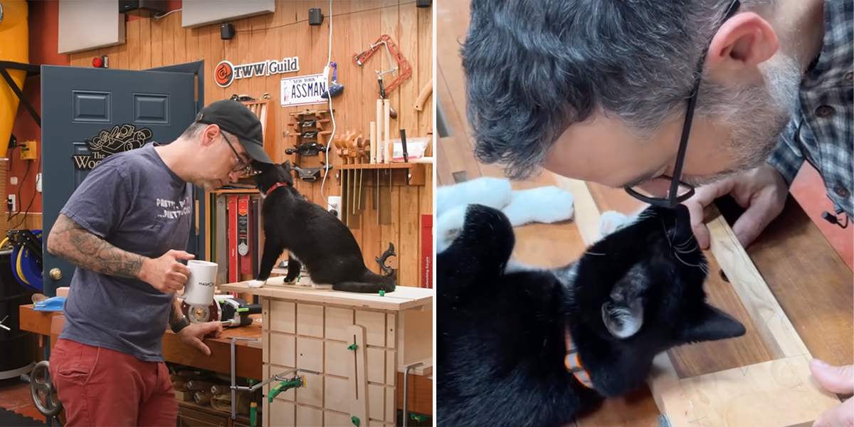 Marc Spagnuolo, The Wood Whisperer, Shop cat, office cat, Oreo, tuxedo cat, Duggee & Abby & Oreo, cat interferes with woodworking in St. Louis wood shop, St. Louis, MO, furniture