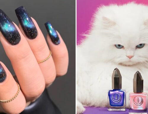 Mooncat Nail Polish Features Stunning Colors That Also Help Save Cats