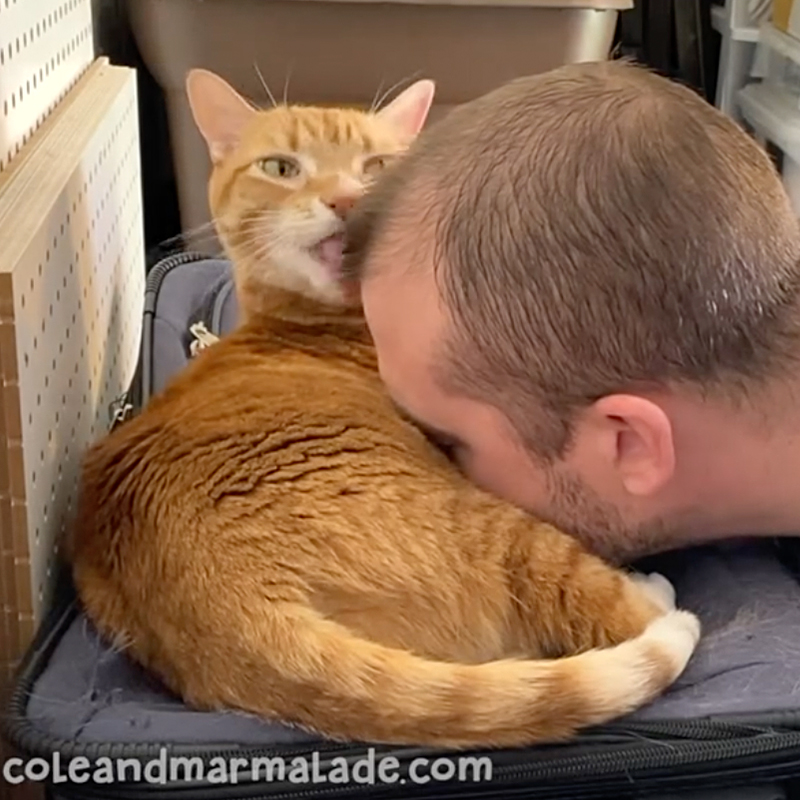 Cat Man Chris puts his face on Marmalade the cat who licks him affectionately