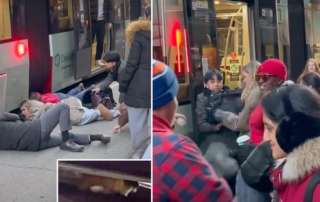 Impromptu Cat Rescue Squad Forms at Rush Hour in the Freezing Cold, Toronto, cat rescue under a streetcar in the cold,