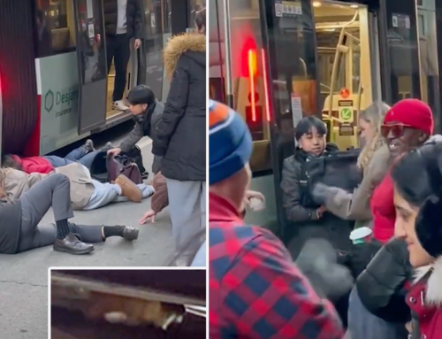 ‘Impromptu Cat Rescue Squad’ Forms Around a Streetcar in Freezing Cold