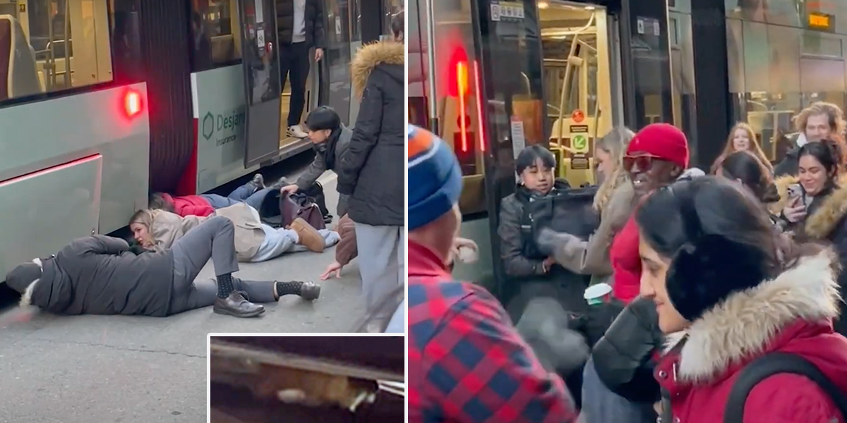 Impromptu Cat Rescue Squad Forms at Rush Hour in the Freezing Cold, Toronto, cat rescue under a streetcar in the cold,