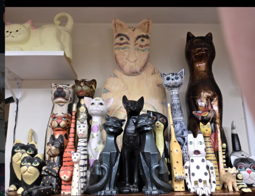 Cat-Themed Museums to Visit