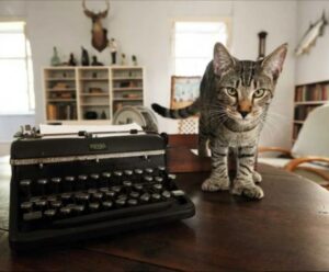 From the Hemingway House Website